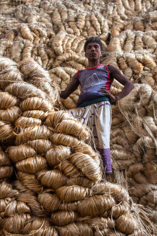 fibre brute de jute